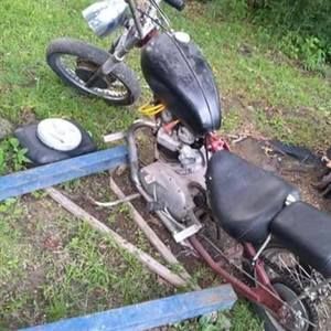 Meet your Posher, Bradley